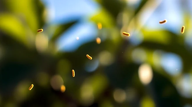 High Pollen Count Expected Across the United States