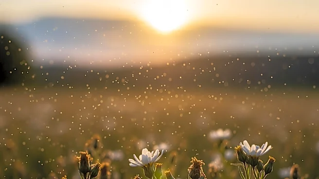 Climate Crisis Extends European Pollen Season, Worsening Hay Fever