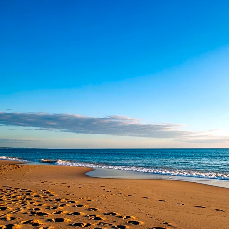 San Diego Weather Update: Clear Skies and Mild Temperatures Expected