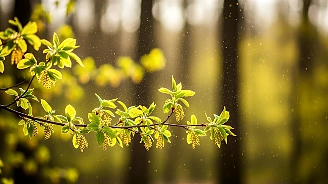 Tree Pollen Alert Issued for U.S. Northeast Amid Seasonal Increase