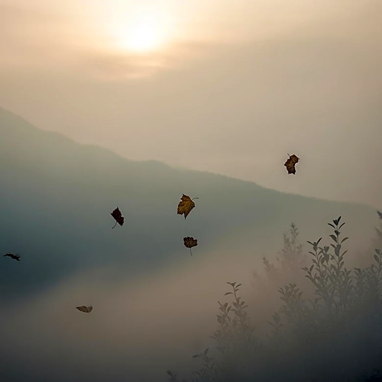 Mountain West Cities Among Most Polluted, Affecting Air Quality for Children