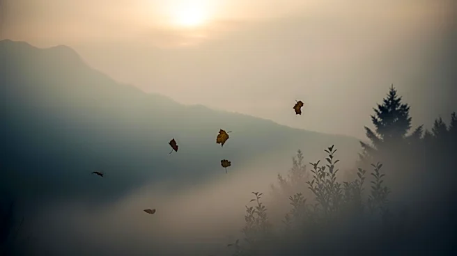 Mountain West Cities Among Most Polluted, Affecting Air Quality for Children