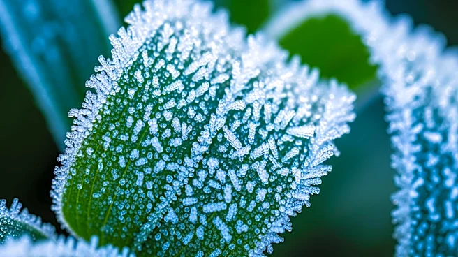 Freezing Air to Make May Feel Like March in the U.S.