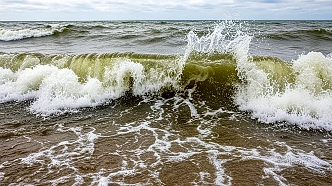 Lake Michigan Beach Advisories Issued Due to High Waves and Rip Currents