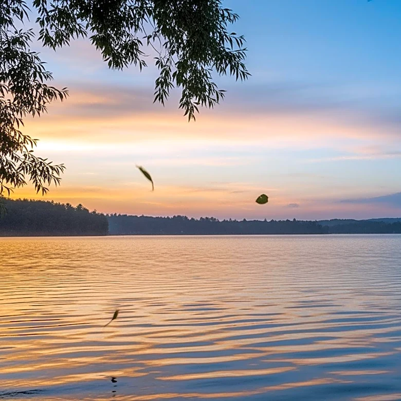 Breezy and Warm Conditions Transition to Cooler Air in La Crosse