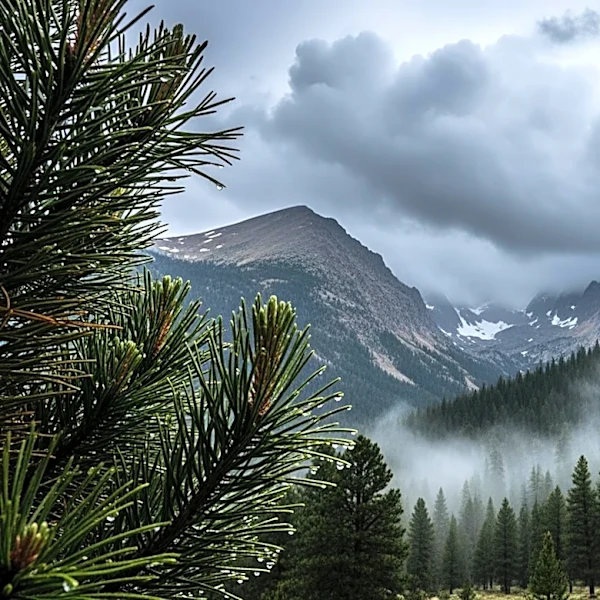 Significant Moisture Expected to Impact Colorado