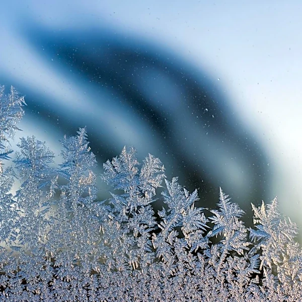 Breezy Conditions and Frost Threats in Twin Cities This Week