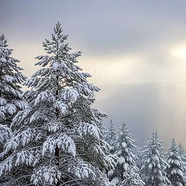 Heavy May Snowfall Expected in Colorado and Wyoming