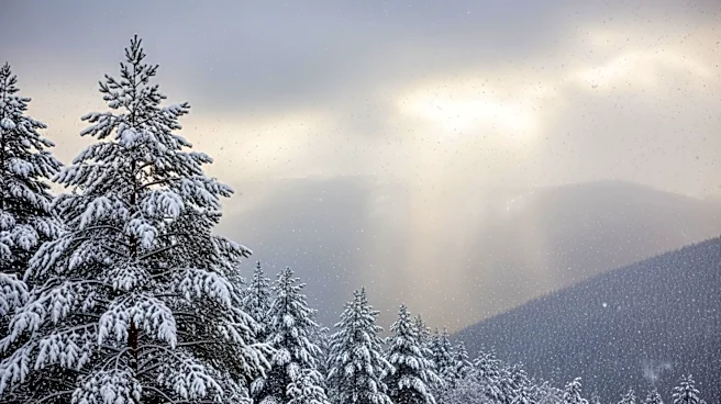Heavy May Snowfall Expected in Colorado and Wyoming