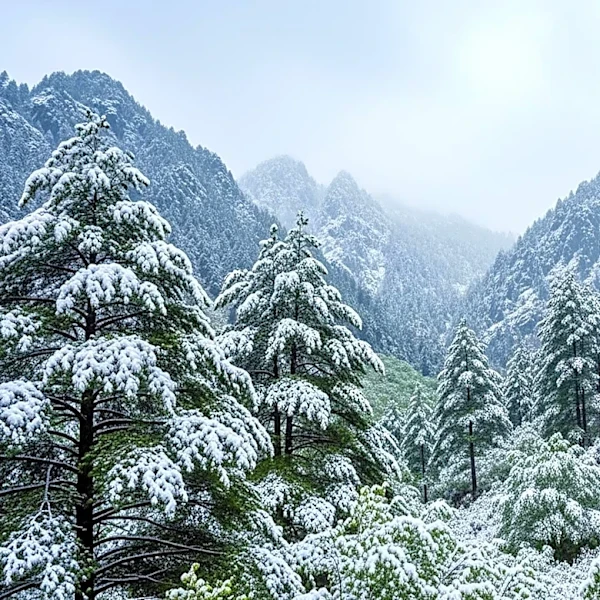Late Spring Snowstorm Hits Denver and Wyoming