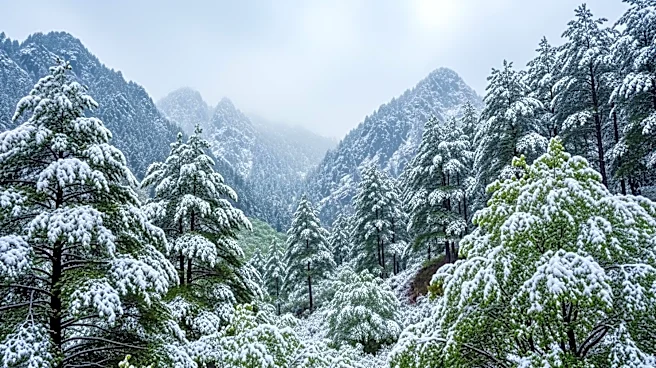 Late Spring Snowstorm Hits Denver and Wyoming
