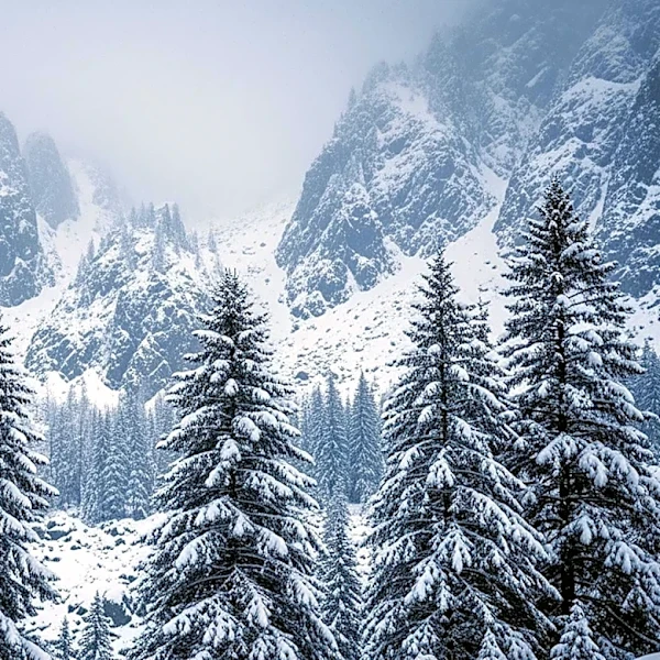 Late Season Snowstorm Hits Colorado's Higher Elevations