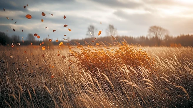Wind Advisory and Elevated Fire Risk in Southern New England