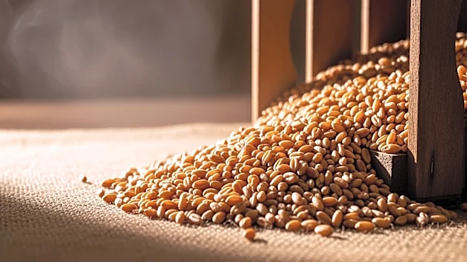 Warmer Weather Increases Grain Storage Risks: CO2 Monitoring Recommended