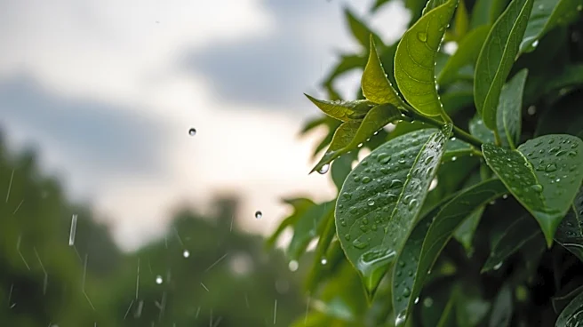 Rain Showers Expected in Grayson County, Kentucky
