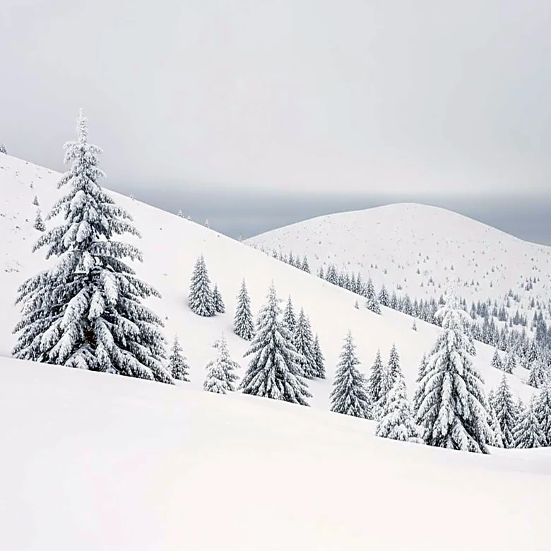 Heavy Snowfall Hits Colorado Mountains, Over a Foot in Some Areas