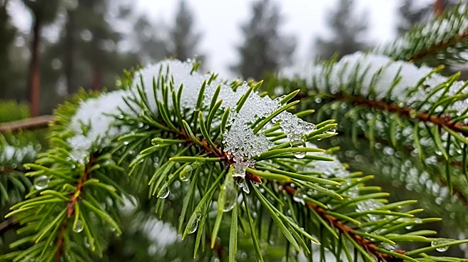 Heavy Spring Snowstorm Hits Colorado with Wet Snow