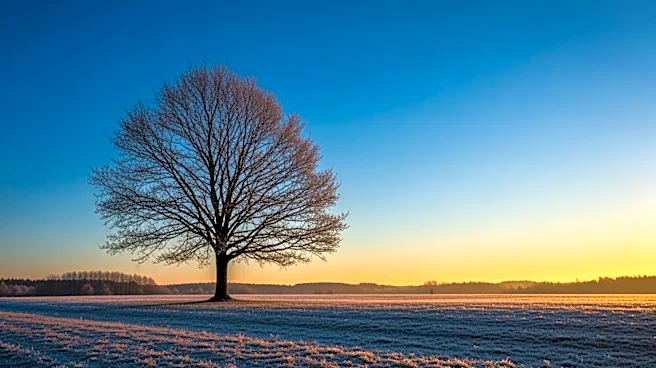 Minnesota Weather: Cold Nights Persist, Warmer Weekend Ahead