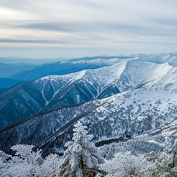 Colorado Snowstorm Brings Varied Accumulations Across the State