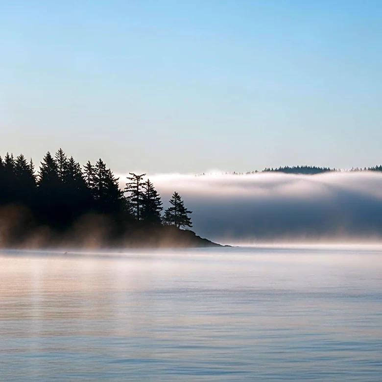 Marine Layer Expected to Impact Puget Sound Region