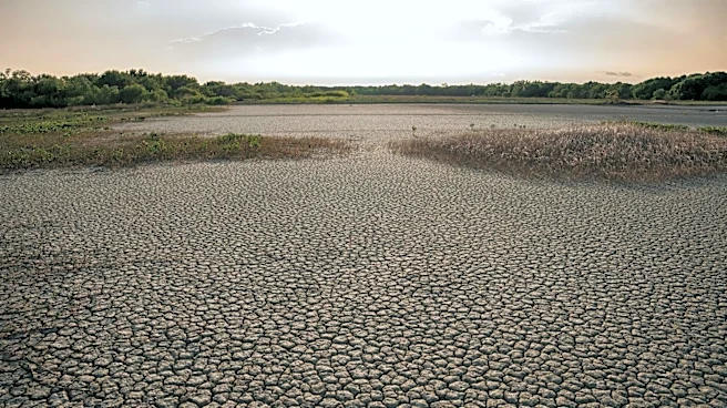 Super El Niño Likely to Develop, Raising Global Weather Concerns