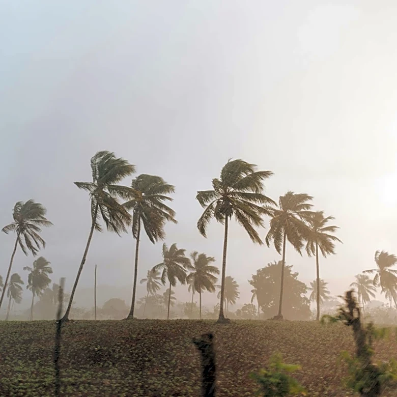 100% Chance of 'Super' El Niño Predicted for 2026, Impacting Global Weather Patterns