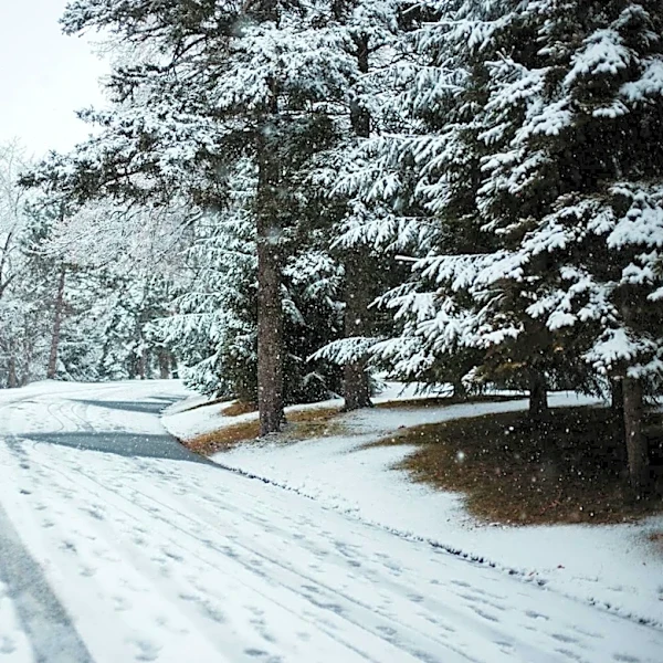 Denver Botanic Gardens Protects Plants from Late-Season Freeze