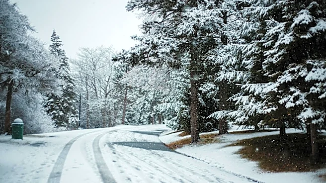 Denver Botanic Gardens Protects Plants from Late-Season Freeze