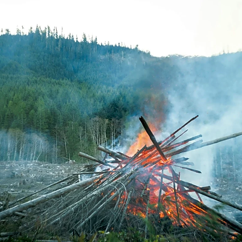 Western States Challenge Logging Exemptions Amid Wildfire Concerns