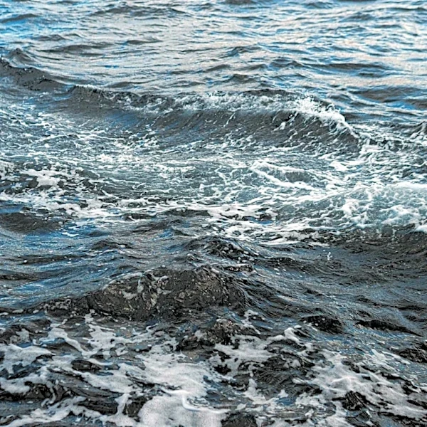 COP30 Highlights Structural Weakness in Ocean Climate Governance