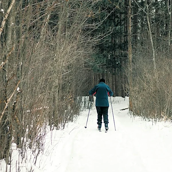 Explore Wisconsin's Scenic Trails: North Country and Ice Age Routes