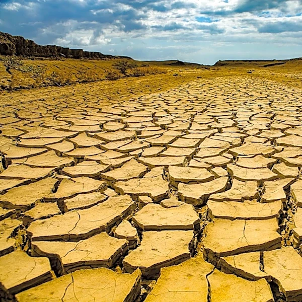 Warming Seas Predicted to Drive Extreme Weather in Coming Months