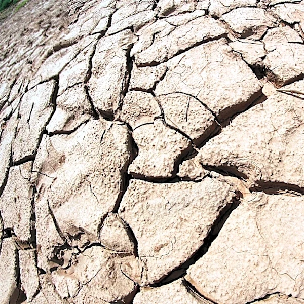 Prolonged Warming Trend with Limited Rain Chances in Colorado