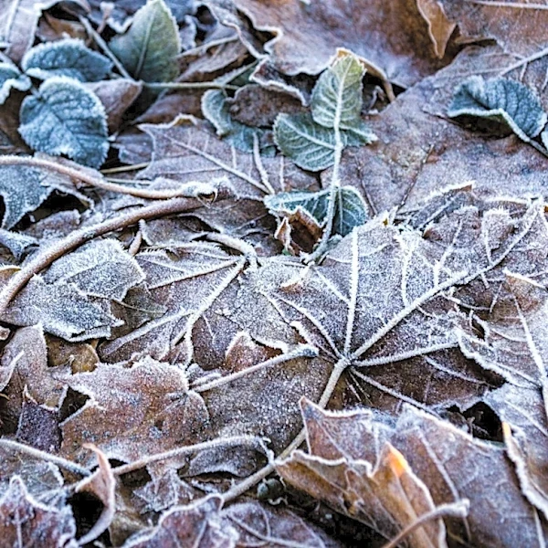 Indiana Experiences Coldest Mays on Record Since 1895