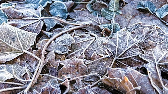 Indiana Experiences Coldest Mays on Record Since 1895