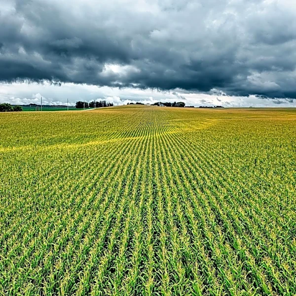 Iowa's Coldest Mays Since 1895: Historical Weather Data