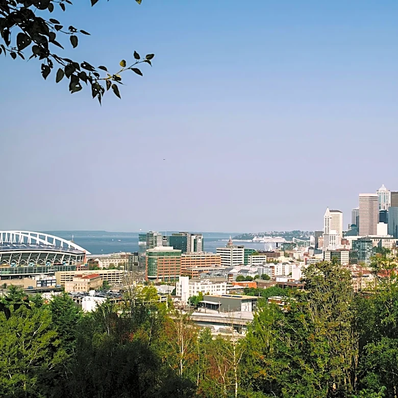 Seattle Pollen Count Highlights Spring Allergies