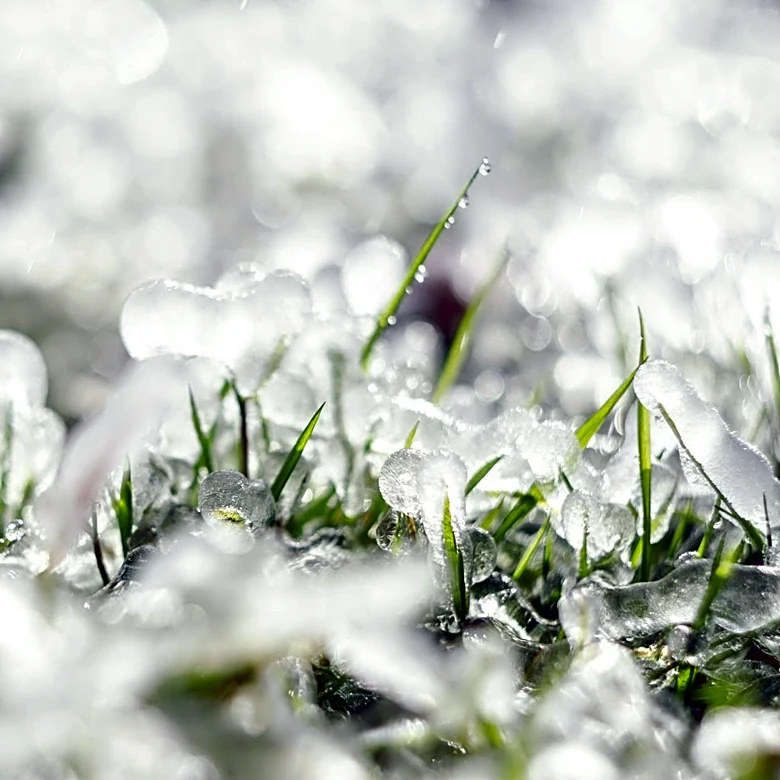 Coldest Mays in Iowa since 1895: Historical Data Highlights