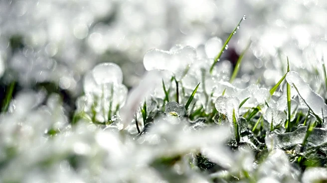Coldest Mays in Iowa since 1895: Historical Data Highlights