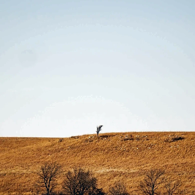 Dry Weather Challenges Farms in Lebanon, Kansas