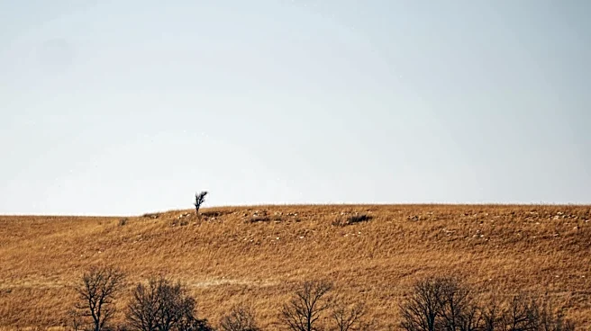Dry Weather Challenges Farms in Lebanon, Kansas