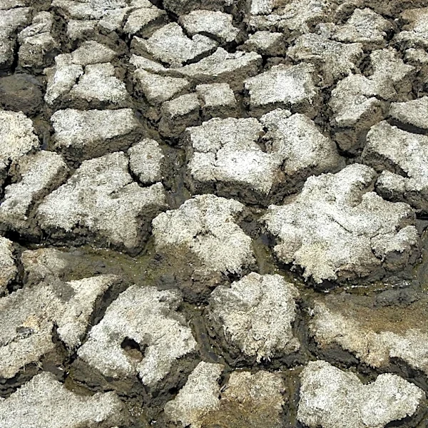 Record Snowpack Loss in Western US Raises Alarm for Water Resources