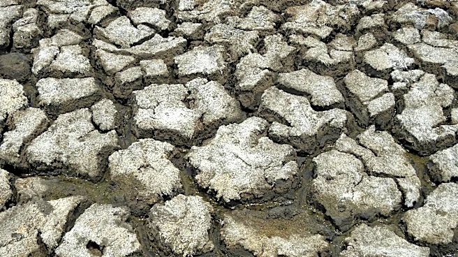 Record Snowpack Loss in Western US Raises Alarm for Water Resources