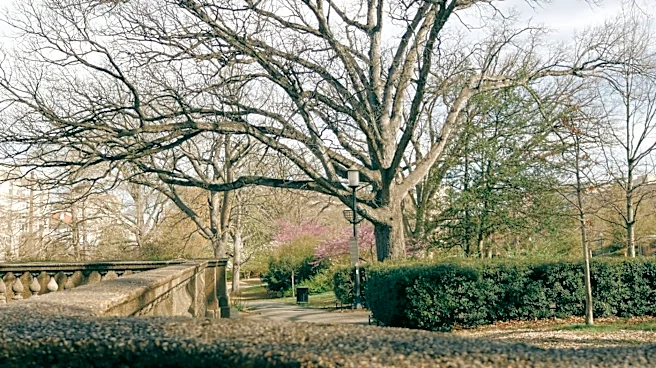 Warming Winters Shift Planting Zones in the DC Region