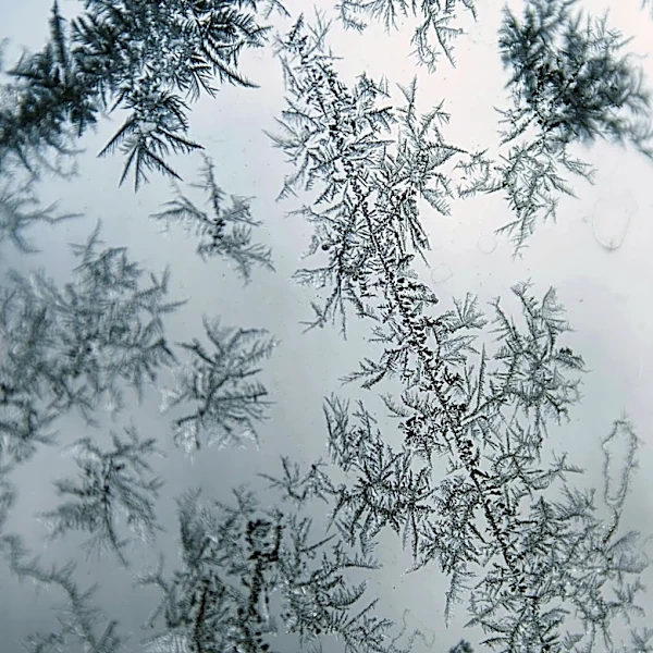Cool Start to the Week in Detroit, Frost Possible Overnight
