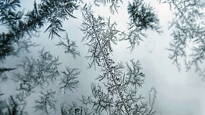 Cool Start to the Week in Detroit, Frost Possible Overnight