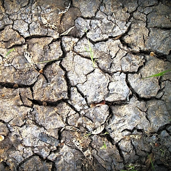 Over 80% of Virginia Facing Severe Drought Conditions