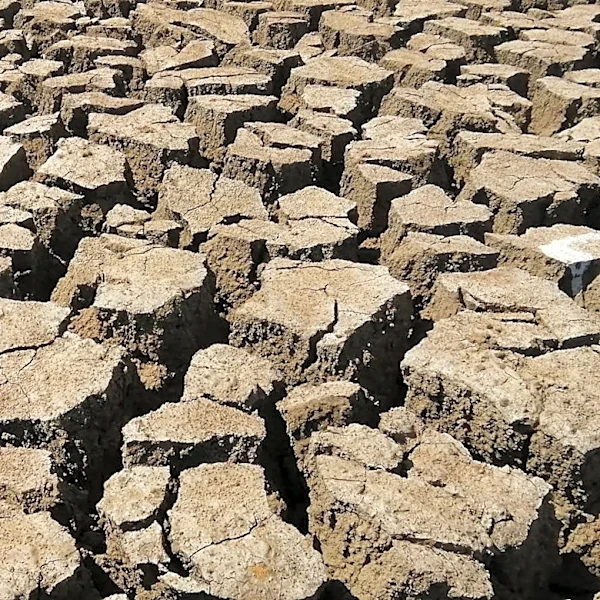 Record-Low Snowpack in Western US Sparks Water Crisis