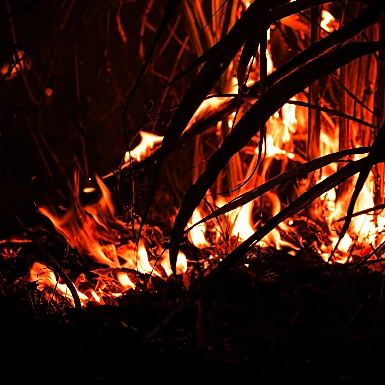 Everglades Fire Scorches 11,000 Acres in Florida