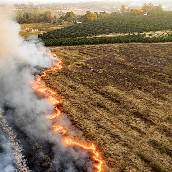 Global Wildfire Season Off to Record Start Amid El Niño Threat